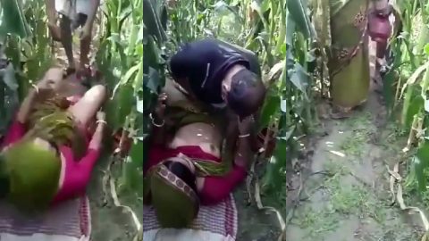 Cheater Bhojpuri bhabhi fucking with village Sarpanch in big farm