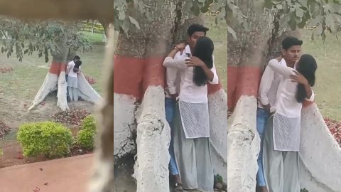 College hot lovers romancing behind tree caught by teacher
