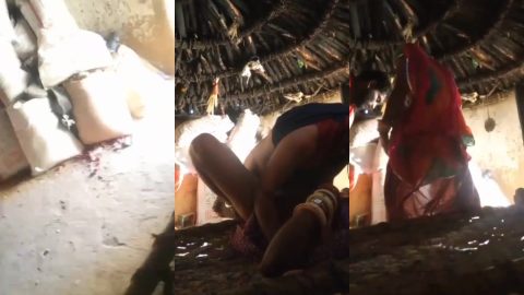 Marwadi village guy seduced and drilled his bhabhi's pussy