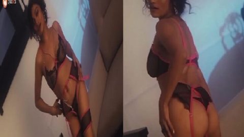 South Indian actress Lavanya lingerie nude pics