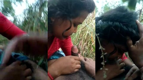 Telugu village girl sucking lover's black cock in farm