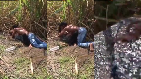 UP village young couple hidden spicy sex mms in farm