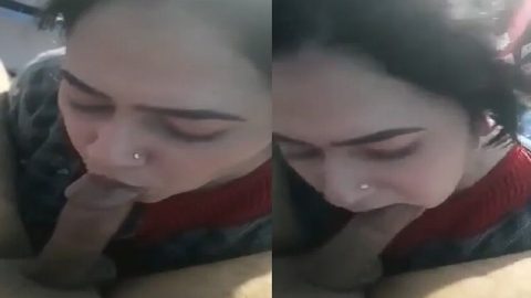 Beautiful Pakistani sex girl viral sucking dick
