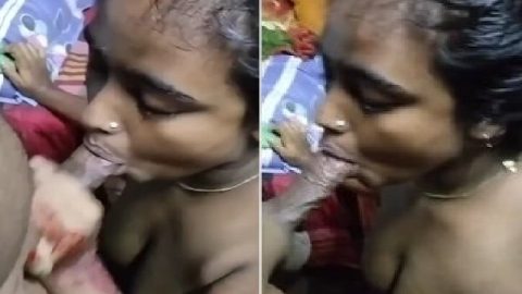 Village bhabhi Bihar sex videos viral blowjob