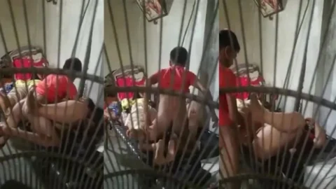Teen Boy Fucking Her Chubby Mother Fuck Video 2026