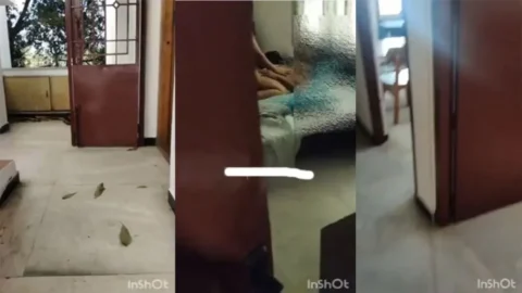 Tamil Coimbatore Paid Cpl Riding Fucking Update