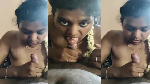Tamil Horny Girl Blowing - Blowjob Porn