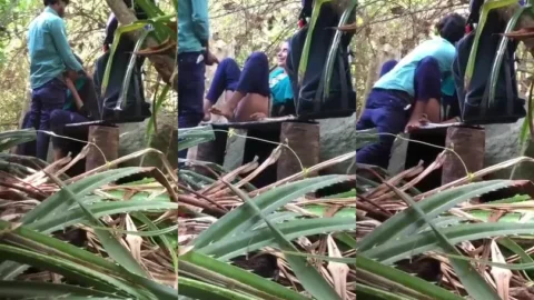 Kochi ke jungle me college ke amateur couple ki XXX MMS clip
