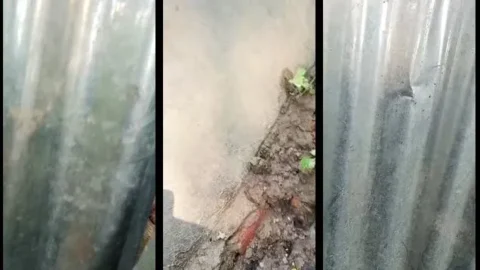 Indian Woman Taking Outdoor Bath Near Hotel Balcony