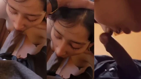 West Bengal ke bro sister ka jabardast blowjob clip in HD