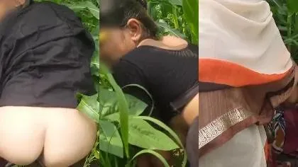 Village Bhabi Fucking Outoor In Crop Field Part 2