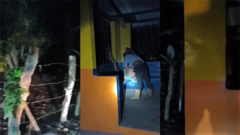 Horny Bhabhi Affair Fucking With Lover On Bus Stop Red-Handed Captured