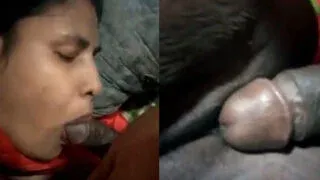 Secret Desi Village Wifes Hot Private Romance Exposed MMS Porn