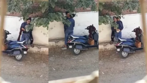 Indian Biker Girl Public Love Porn Free HD Porn